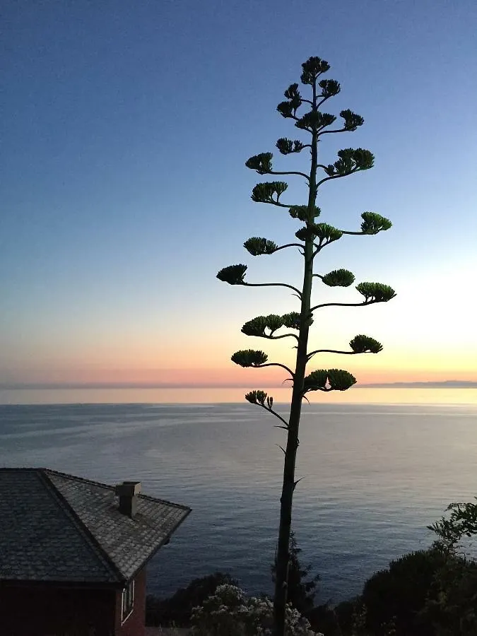 Appartamento A Moneglia, Tra Portofino E Le Cinque Terre